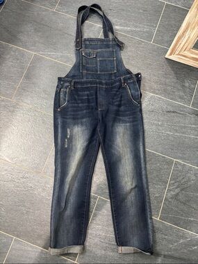 Free people dark wash overalls